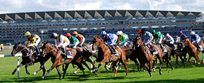 Race Days @ Jagz